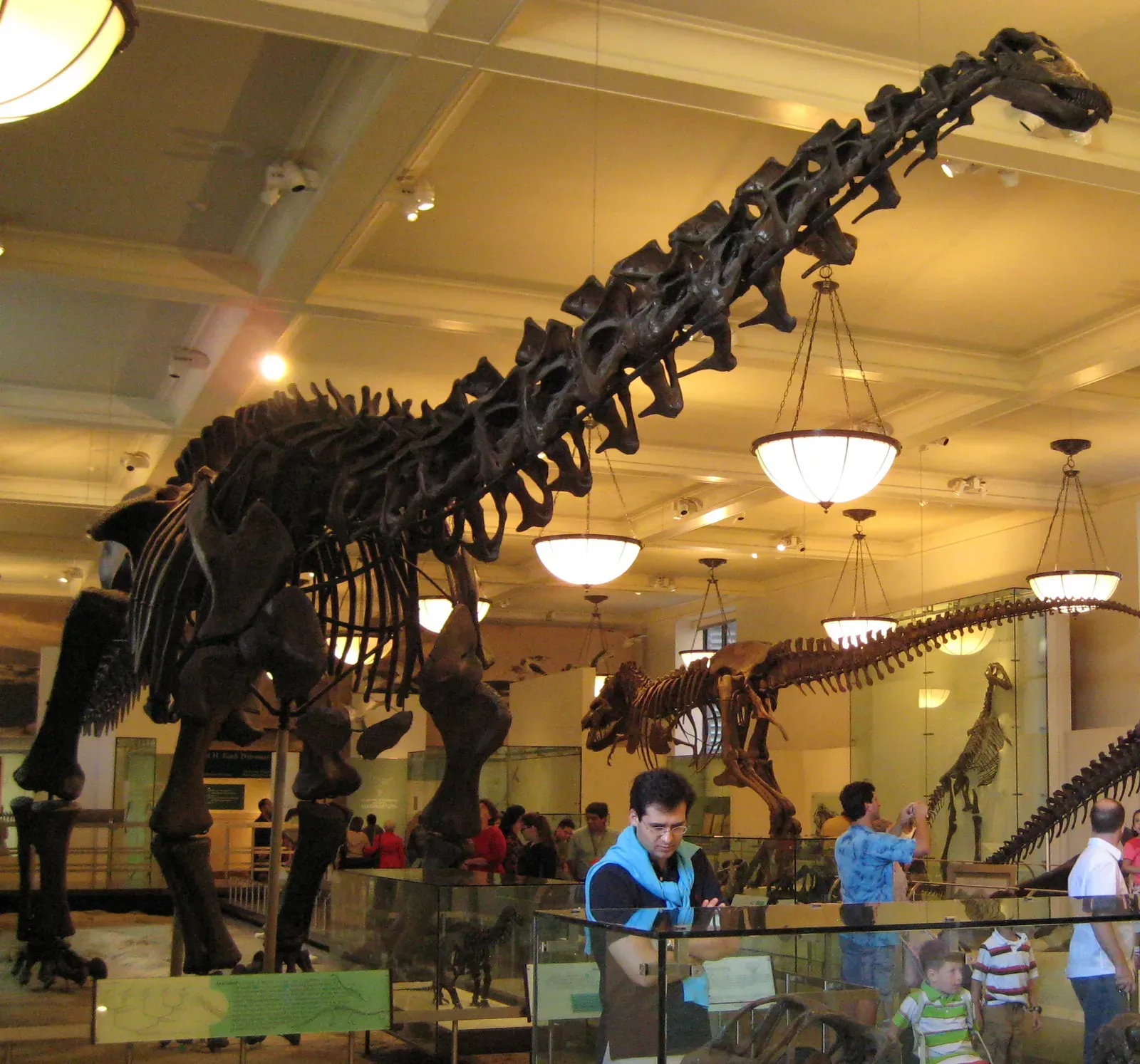 The Sauropods Were the Ancient World's Centenarians (Image Credits: Wikimedia)