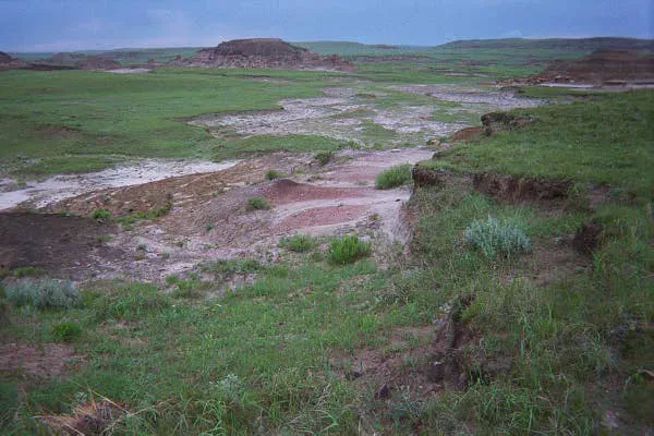 Hell Creek Formation, Montana (By Circa24, CC BY-SA 3.0)