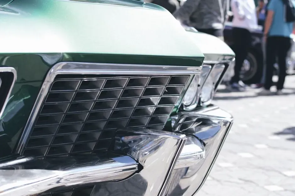 #9 A Nest Wedged Between Letters in a License Plate or Car Grille (Image Credits: Pexels)