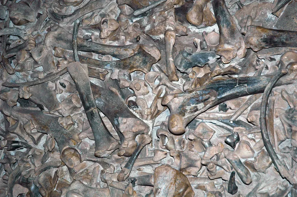 3. They Turned Fossil Cemeteries Into Battlefields of Legendary Beasts (James St. John, Flickr, CC BY 2.0)