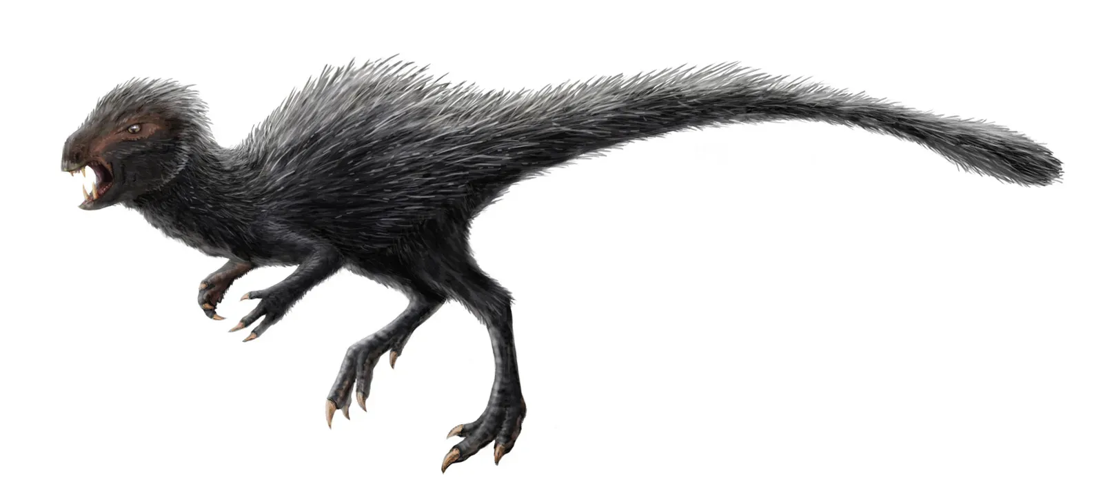 Virgo: Heterodontosaurus (Mistaken for a Confusing, Overachieving Squirrel) (By FunkMonk, CC BY-SA 3.0)