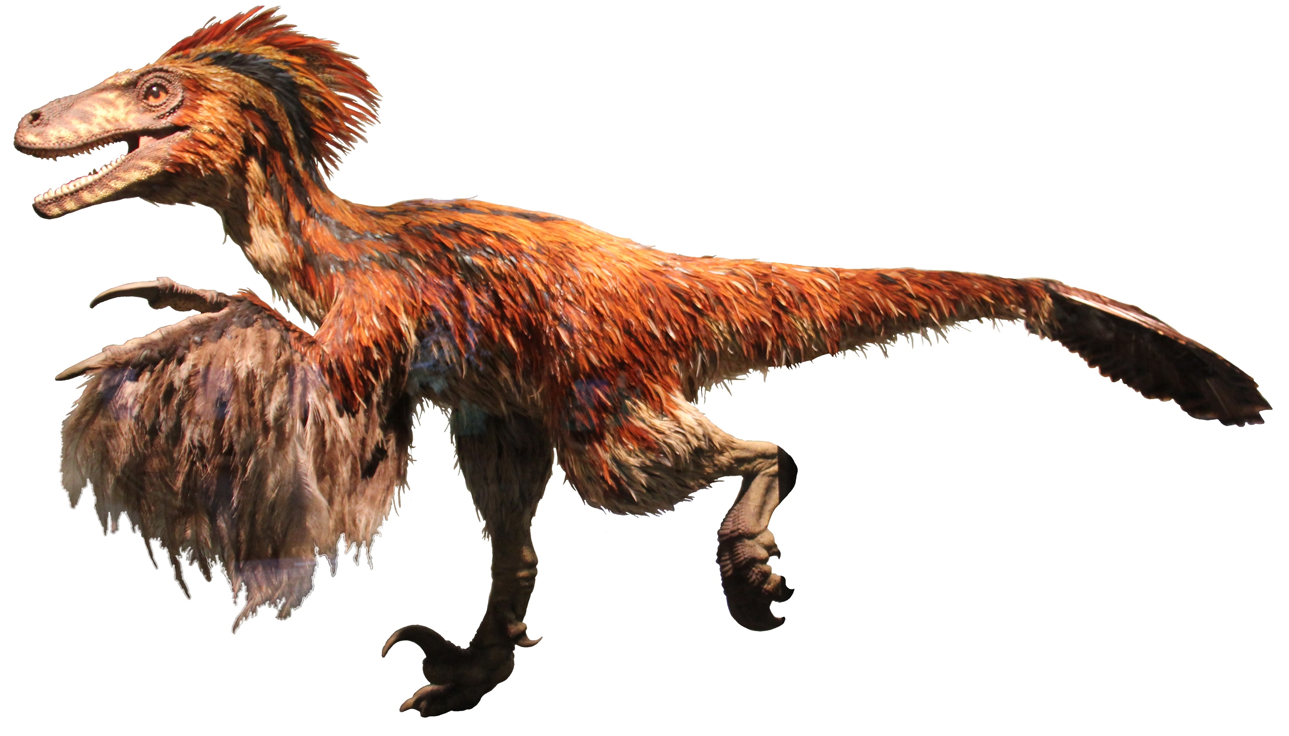 Deinonychus: The Pack Hunter Perfected (Image Credits: Wikimedia)