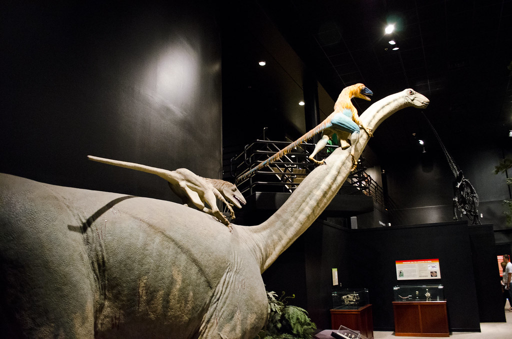 Capricorn: The Strategic Mountain Climbers (Image Credits: Flickr)