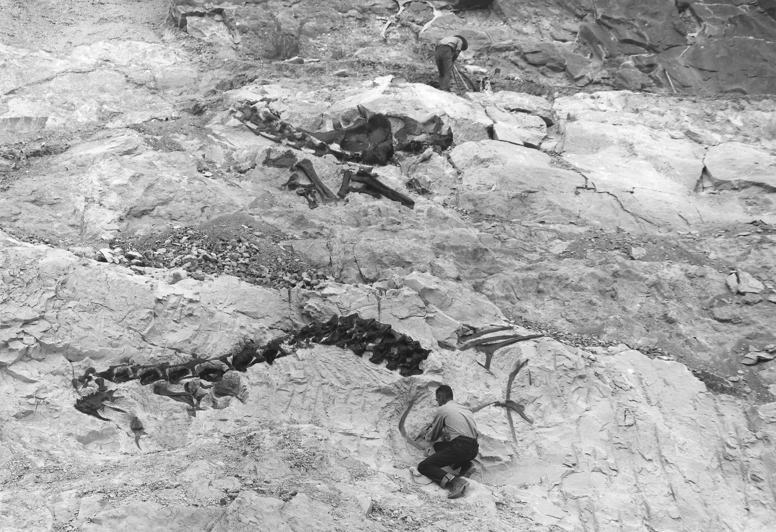 #11 - Howe Quarry, Wyoming (U.S. National Archives and Records Administration, Public domain)