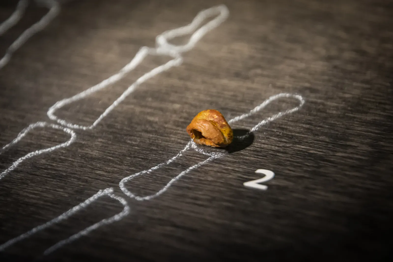 #11 - The Human Relative Nobody Has Actually Seen (By Thilo Parg, CC BY-SA 3.0)