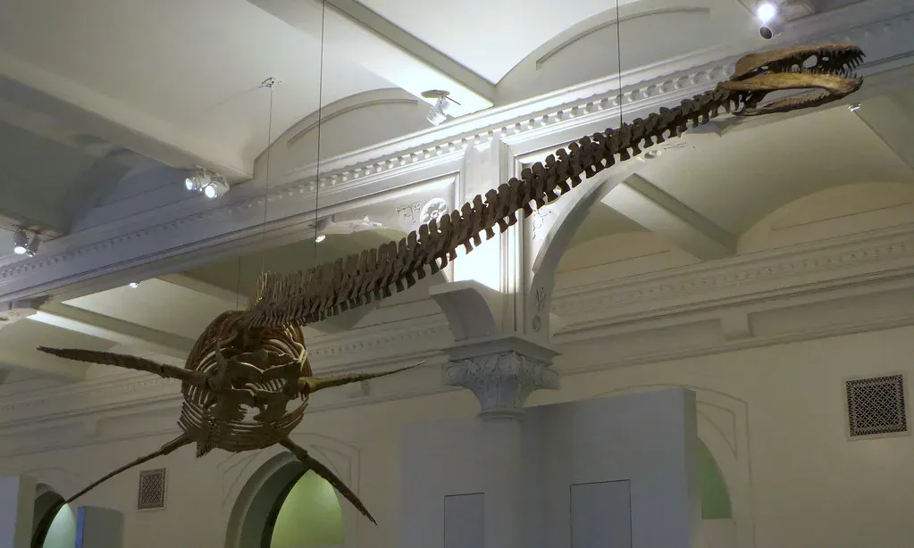 Extinction, Survival, and What Came Next (Image Credits: Flickr)