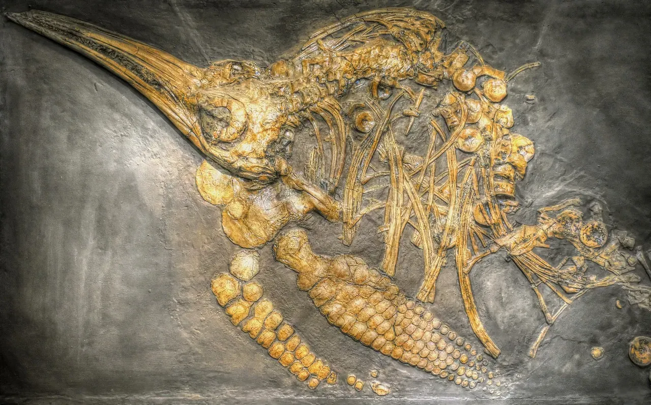 Reimagining Ancient Oceans: Nurseries, Risks, and My Own Take (Image Credits: Pixabay)