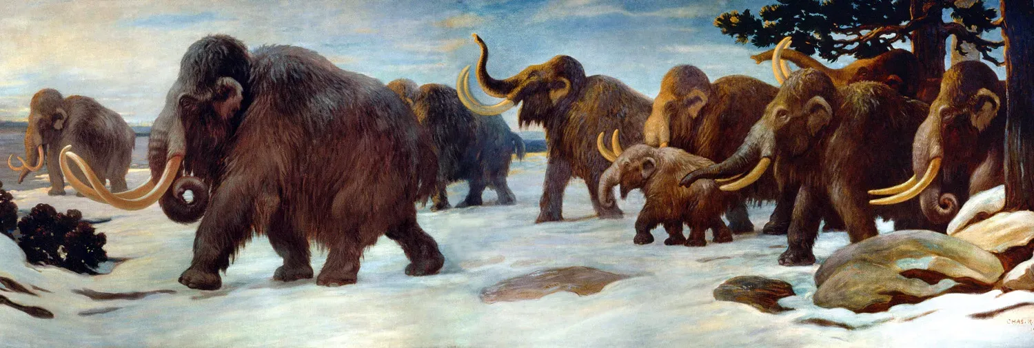 The Scale of the Loss: How Many Giants Actually Disappeared? (Image Credits: Wikimedia)