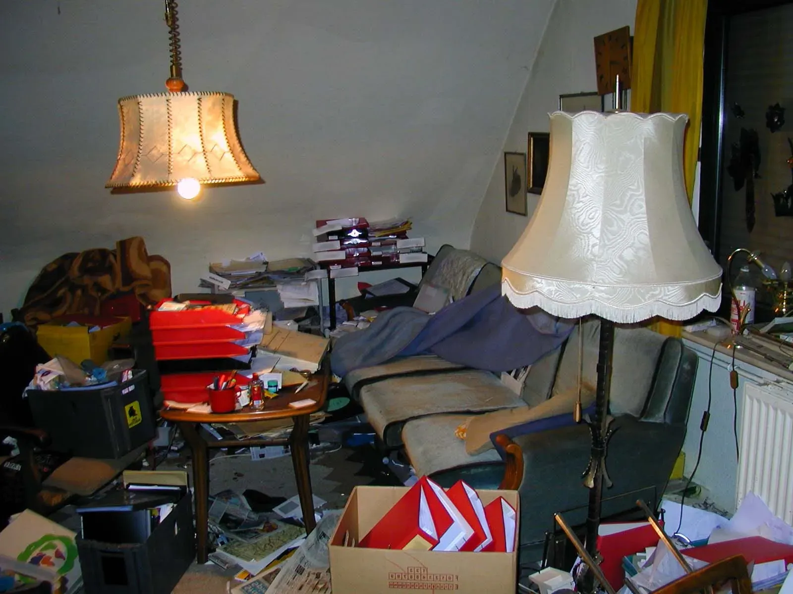 You'll Find Their Surroundings Are Disorganized And Messy (Image Credits: Wikimedia)