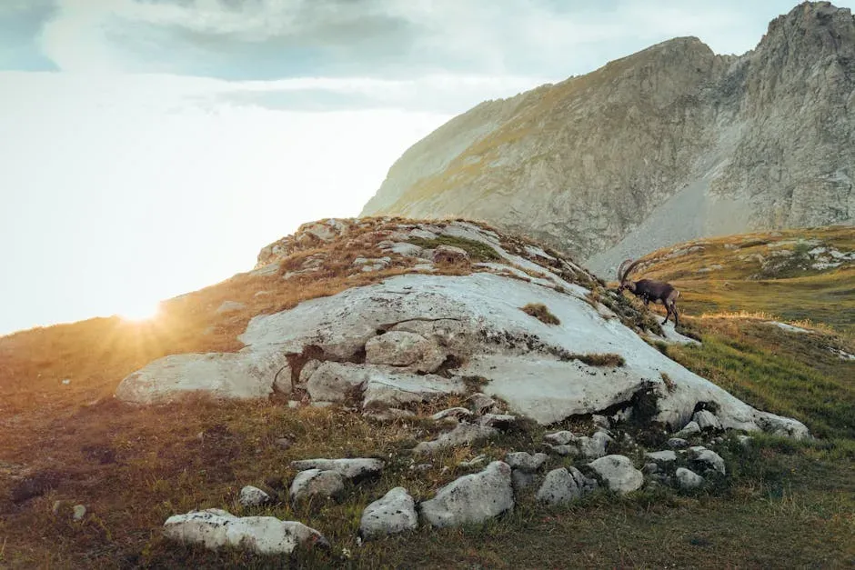 Capricorn – Earth That Climbs and Endures (Image Credits: Pexels)