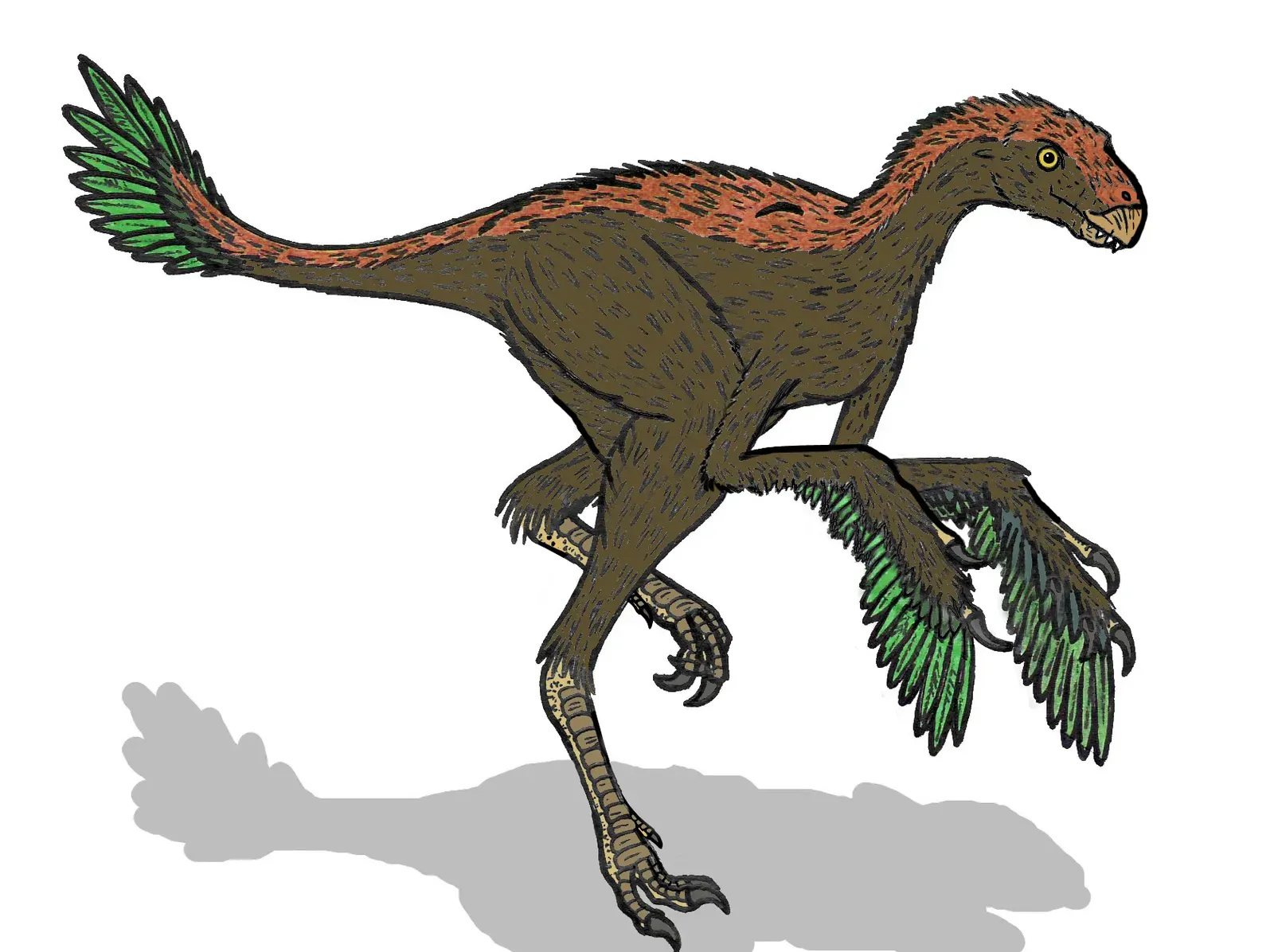 Incisivosaurus: The Dinosaur That Looked Like a Giant Rodent (Image Credits: Wikimedia)
