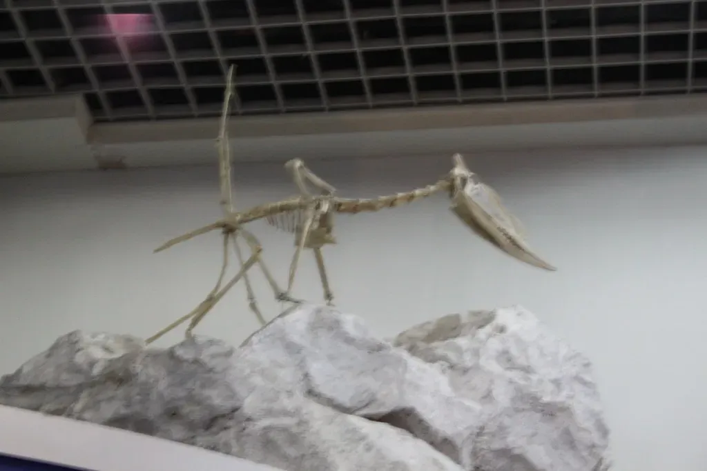 Conclusion (Image Credits: Flickr)