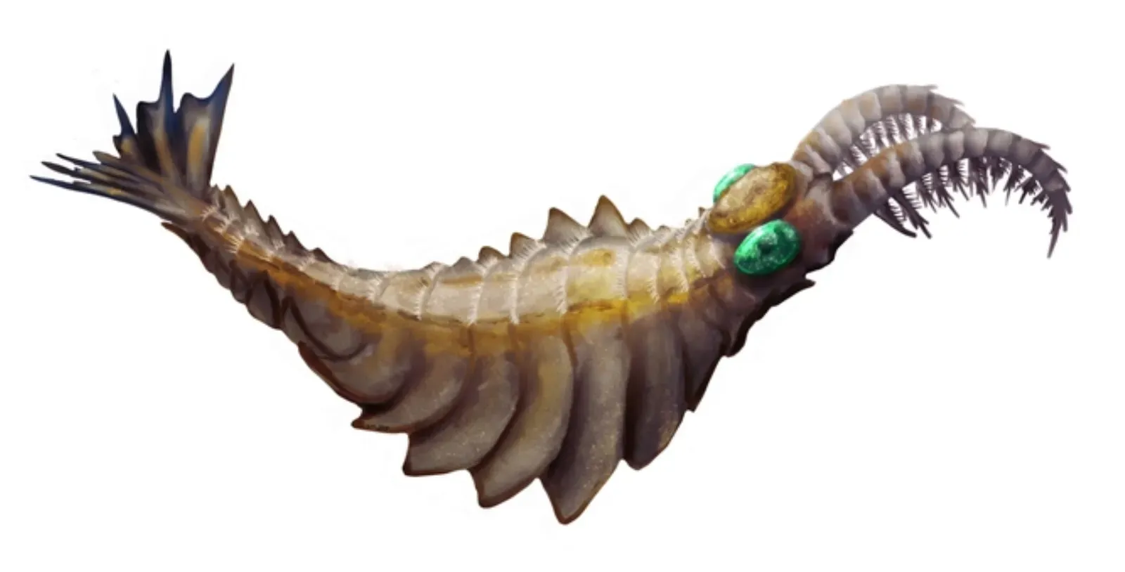 The First Apex Killers: When Predation Was Brand New (Image Credits: Wikimedia)