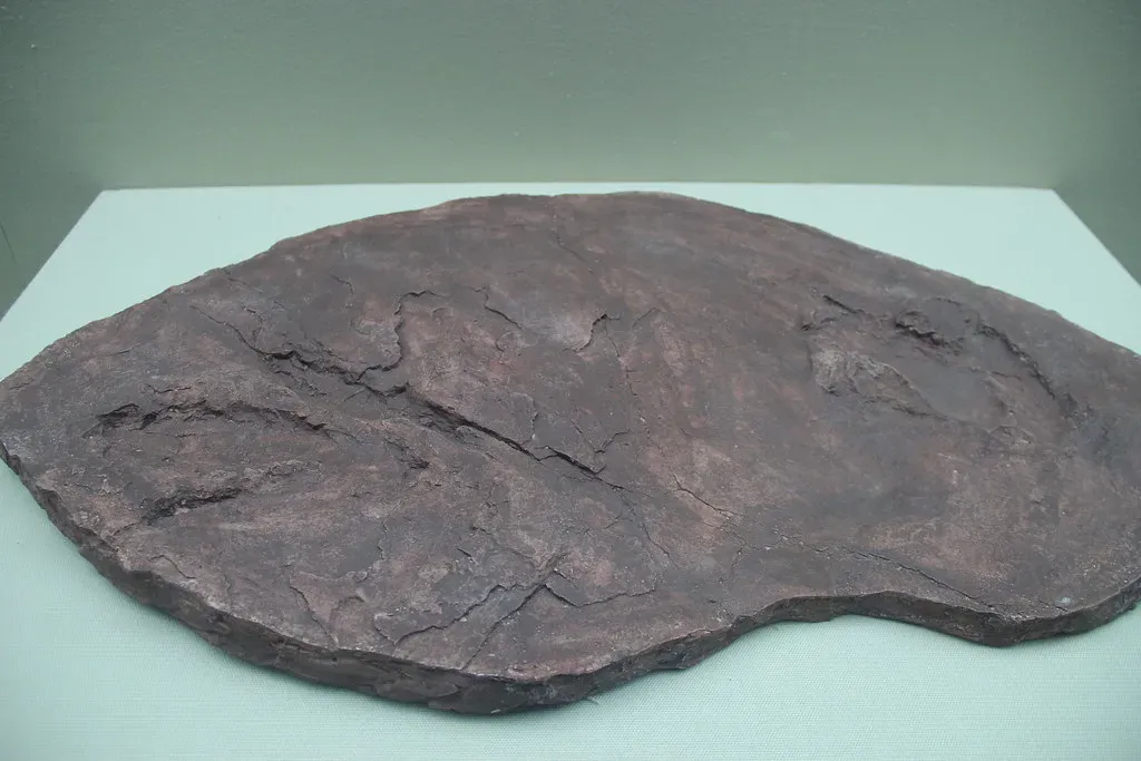 Conclusion: The Living Record That Changed Everything (Image Credits: Flickr)