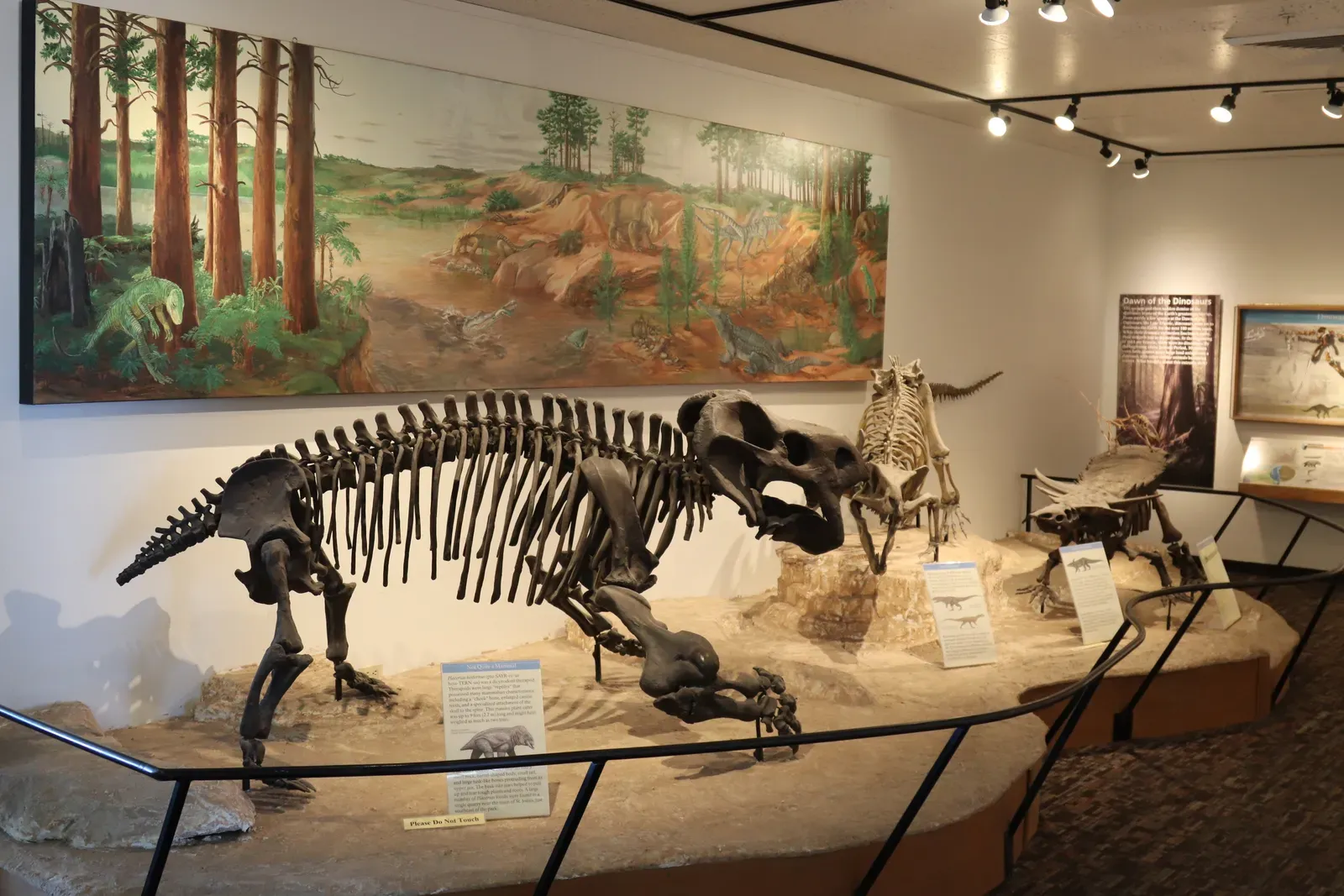 Conclusion: The Triassic Deserves Its Moment in the Spotlight (Image Credits: Wikimedia)