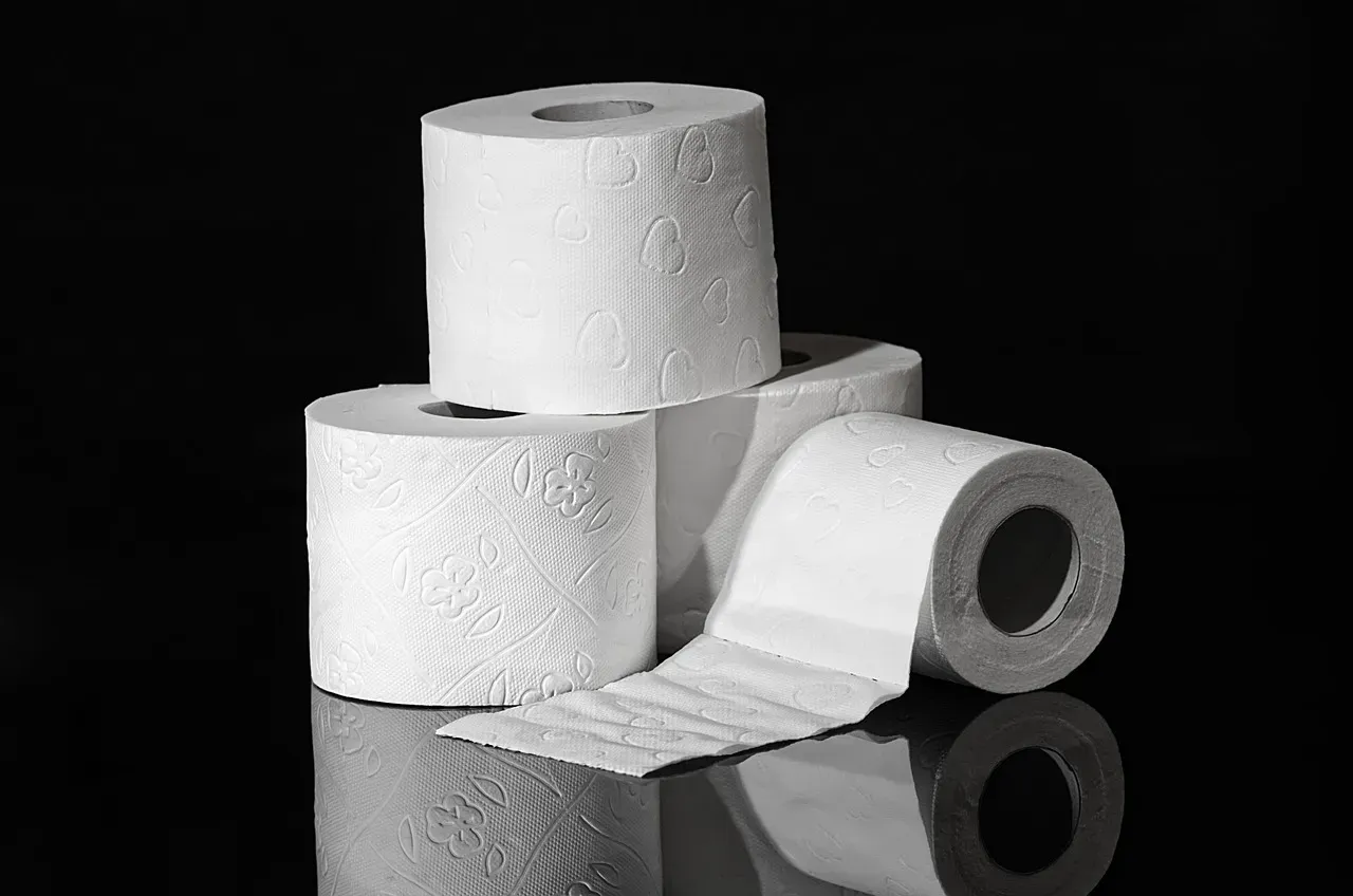 #2 - Toilet Paper Is Younger Than the Telephone (Image Credits: Pixabay)