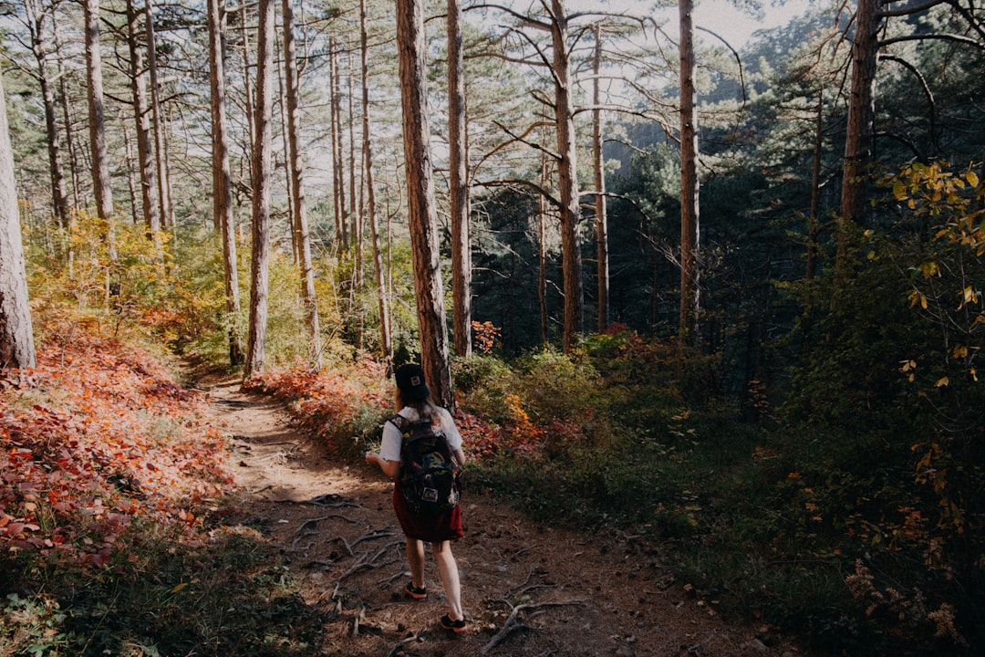 Sagittarius: Seek New Horizons (Image Credits: Unsplash)