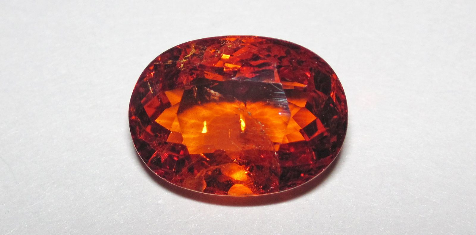 January: Garnet – The Fiery Protector (Image Credits: Wikimedia)