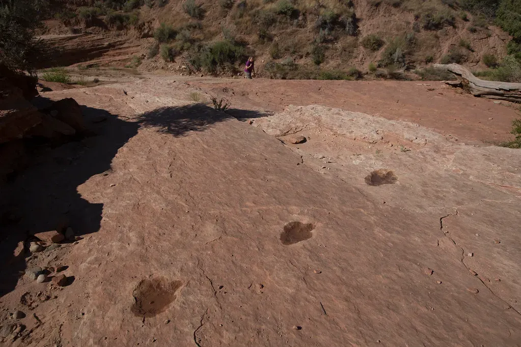 Why This Discovery Matters Beyond the Headlines (Image Credits: Flickr)