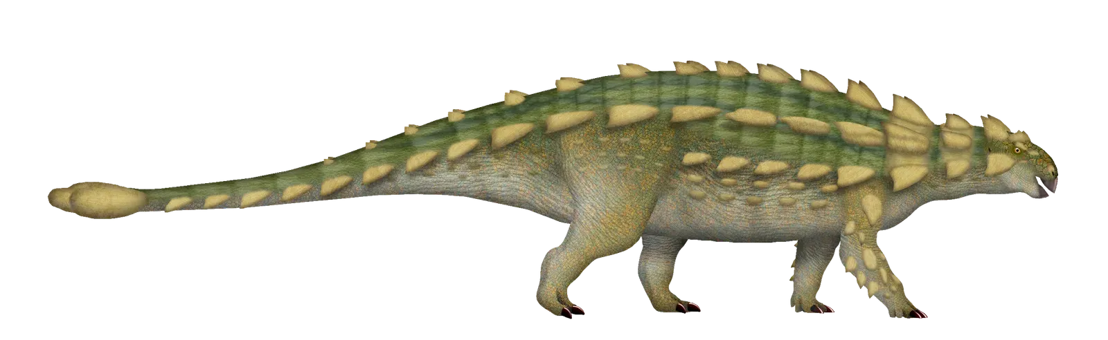 Why Herbivores Needed Armor More Than Anyone Else (Image Credits: Wikimedia)