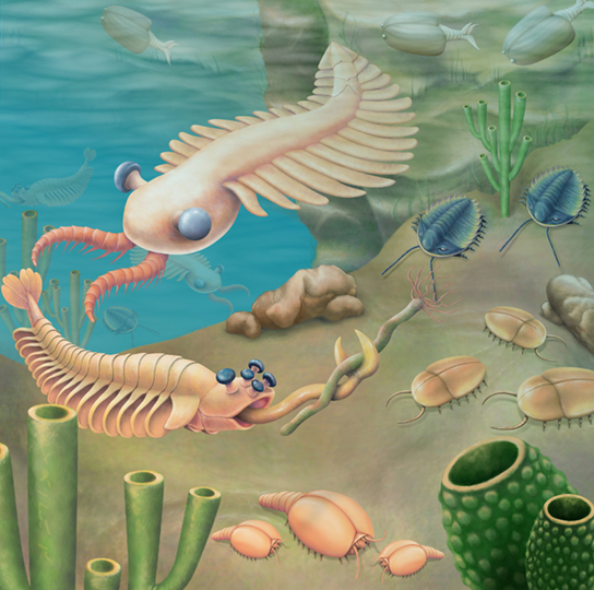 Life on the Cambrian Seafloor (Image Credits: Wikimedia)
