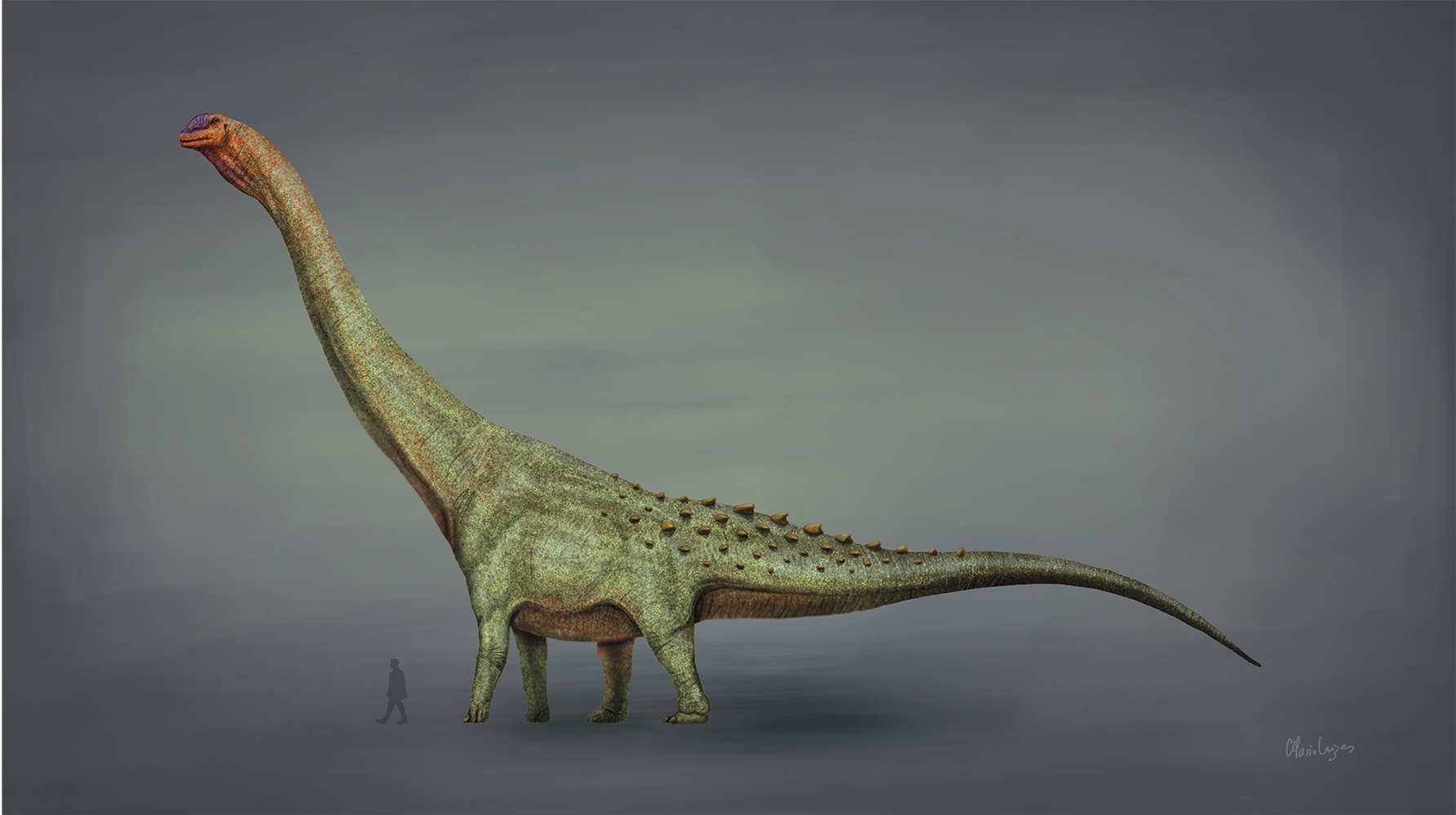 Patagotitan mayorum - The Patagonian Giant (Image Credits: Wikimedia)