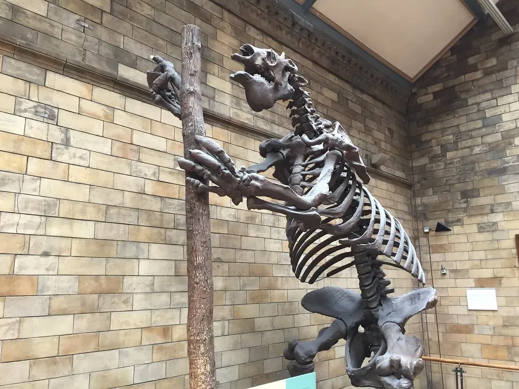 Megatherium: The Ground Sloth That Stood Taller Than An Elephant (Matt From London, Flickr, CC BY 2.0)
