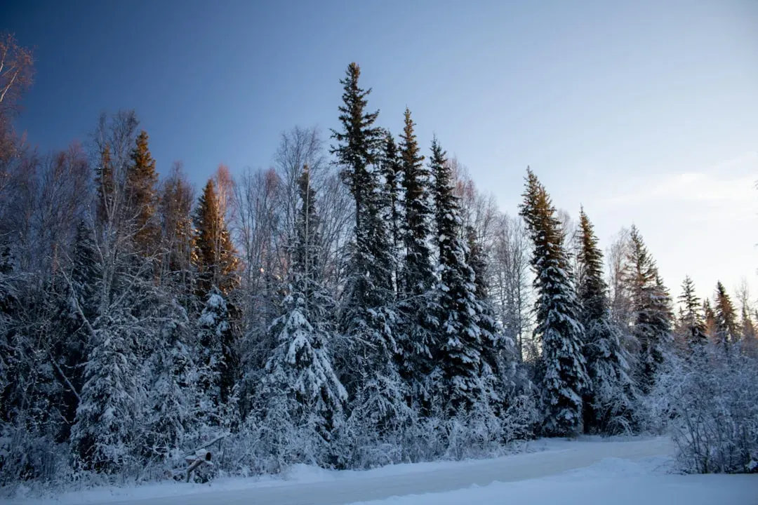 Warm Poles, Crocodiles in the High Latitudes, and Forests in the “Wrong” Places (Image Credits: Unsplash)