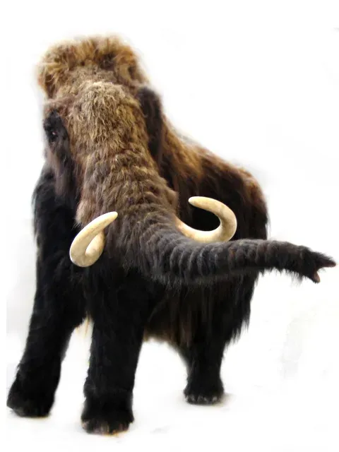 Fur, fat and frost-proof skin: they were literally wrapped for the Arctic (Own work (http://www.quagga.cat/Projectes/Reconstruccio/Escultura-mamut-gran/0a (archive)), CC BY-SA 3.0)