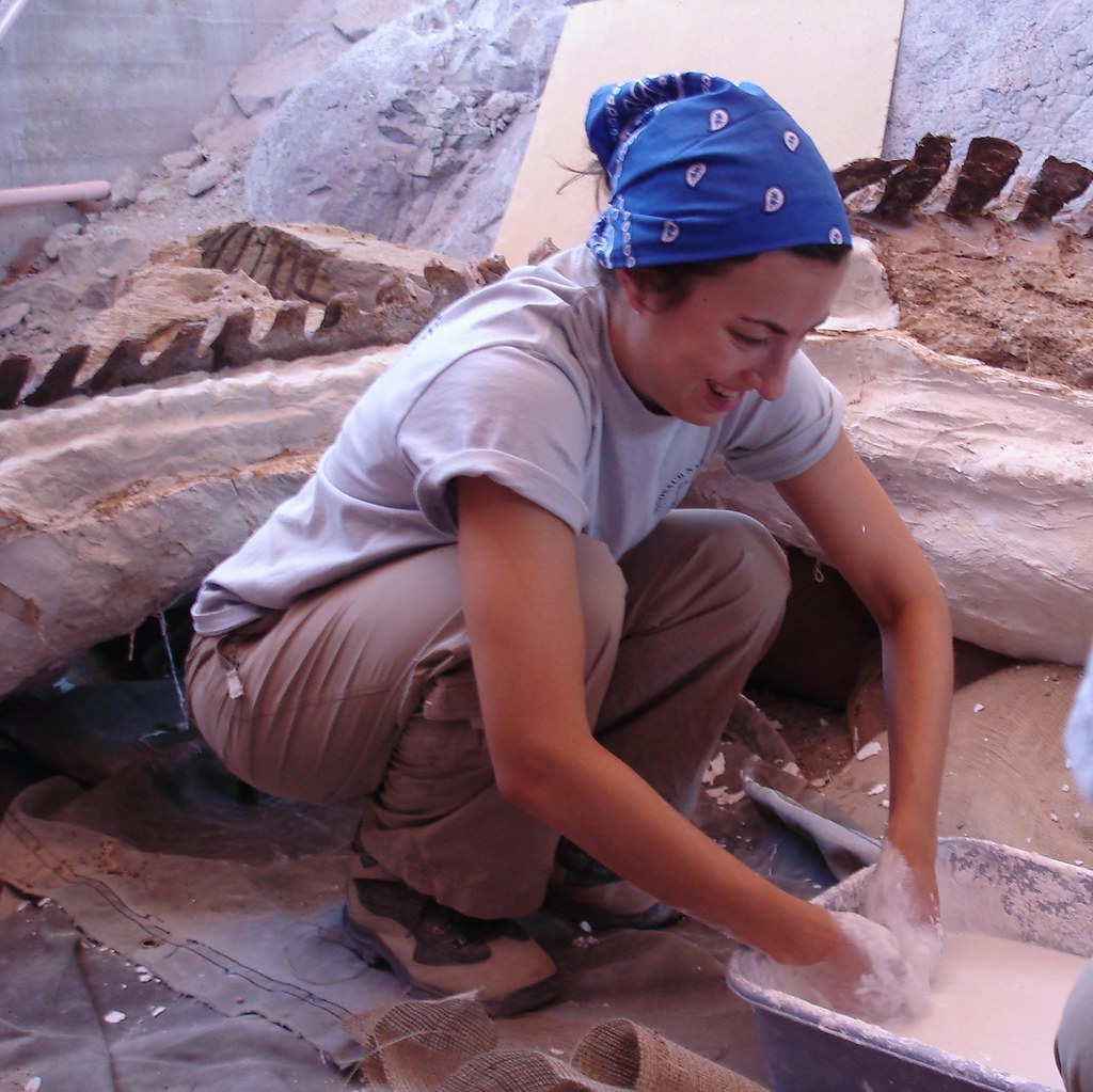 Modern Detective Work: How Scientists Solve Ancient Mysteries (Image Credits: Flickr)