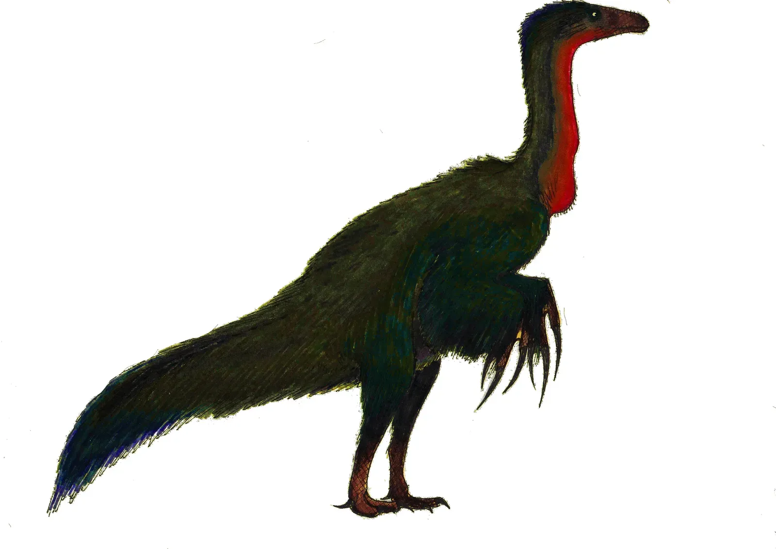 1. Therizinosaurus: The Freddy Krueger Herbivore (By Danny Cicchetti, CC BY-SA 3.0)