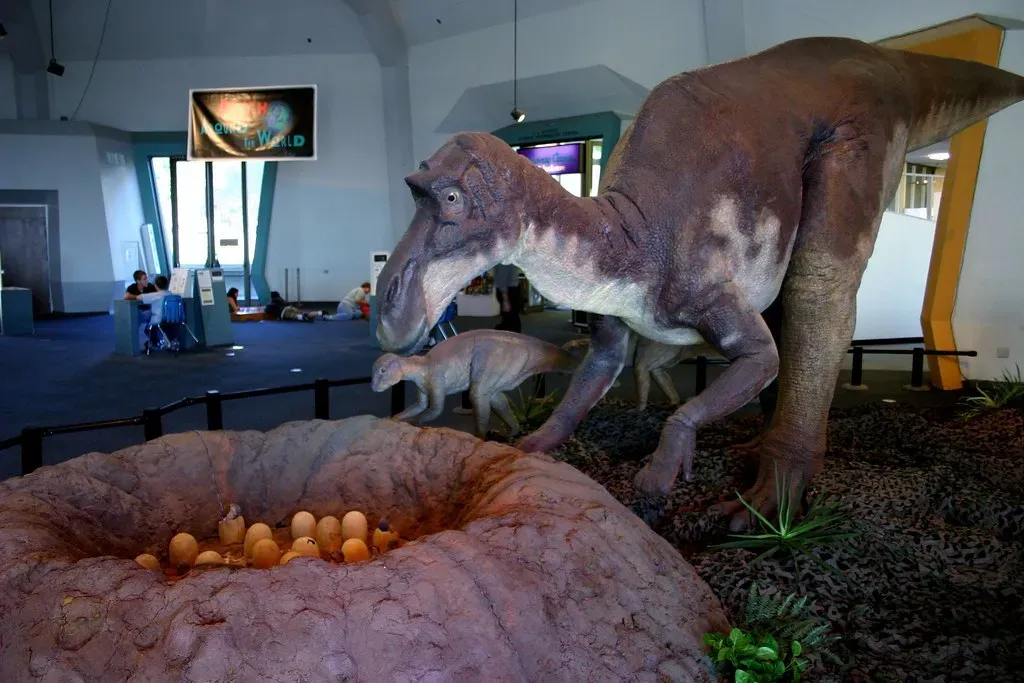 Brooding Behavior: Sitting on Eggs Like a Bird (Genista, Flickr, CC BY-SA 2.0)