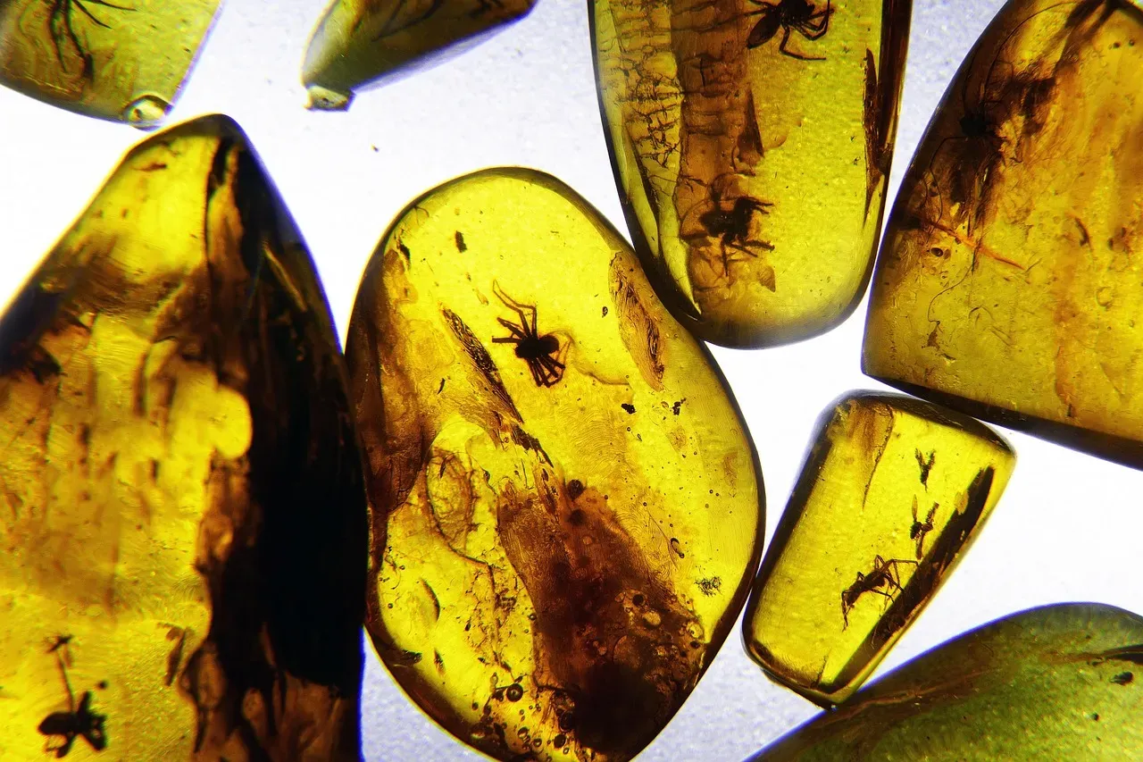 The DNA Debate: What Really Survives in Amber? (Image Credits: Pixabay)