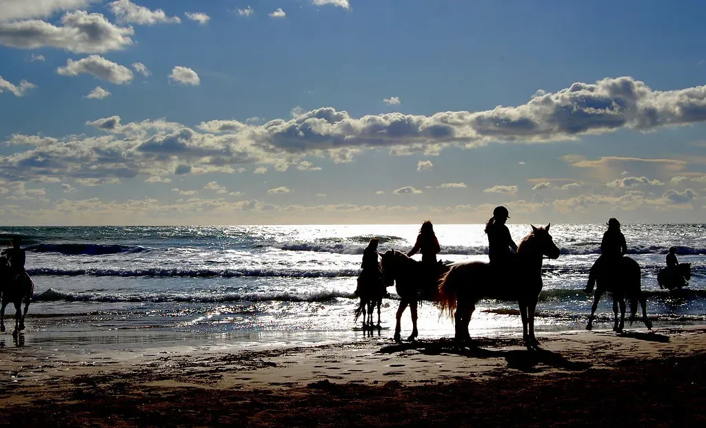 The Mysterious Sea People and the Bronze Age Collapse (Angela Llop, Flickr, CC BY-SA 2.0)