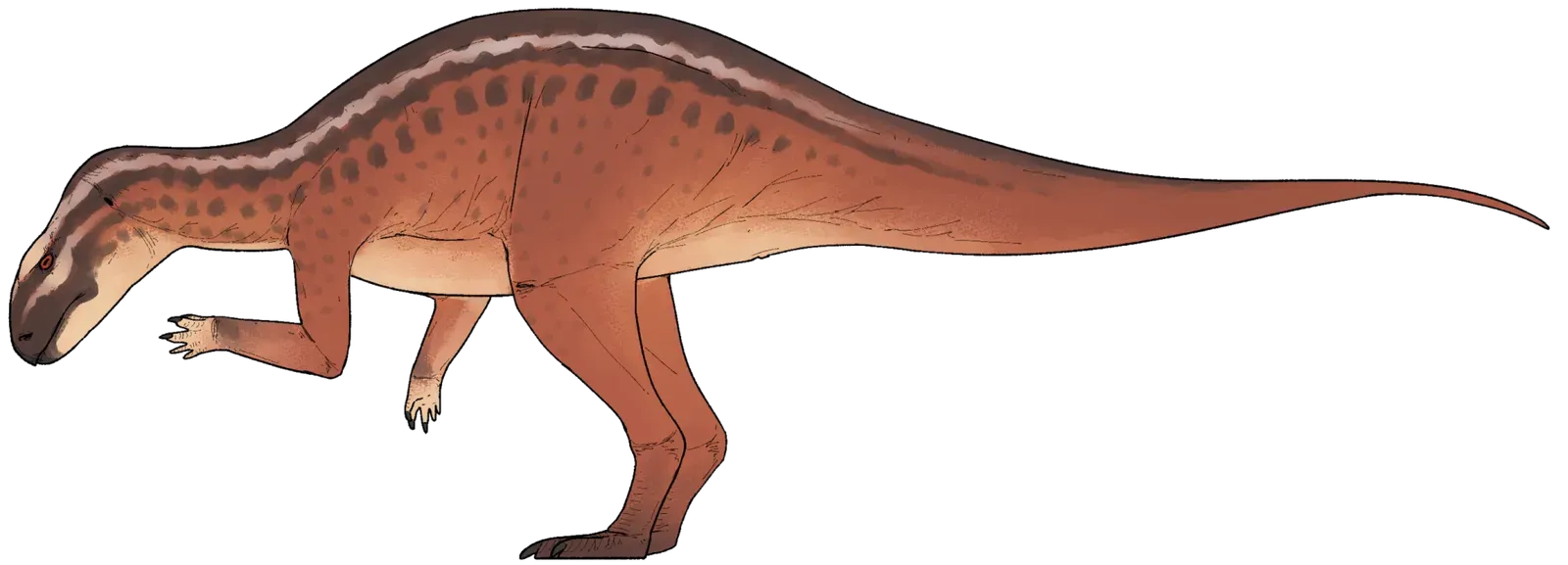 The Astonishing Diversity of Form: Small, Strange, and Spectacular (Image Credits: Wikimedia)