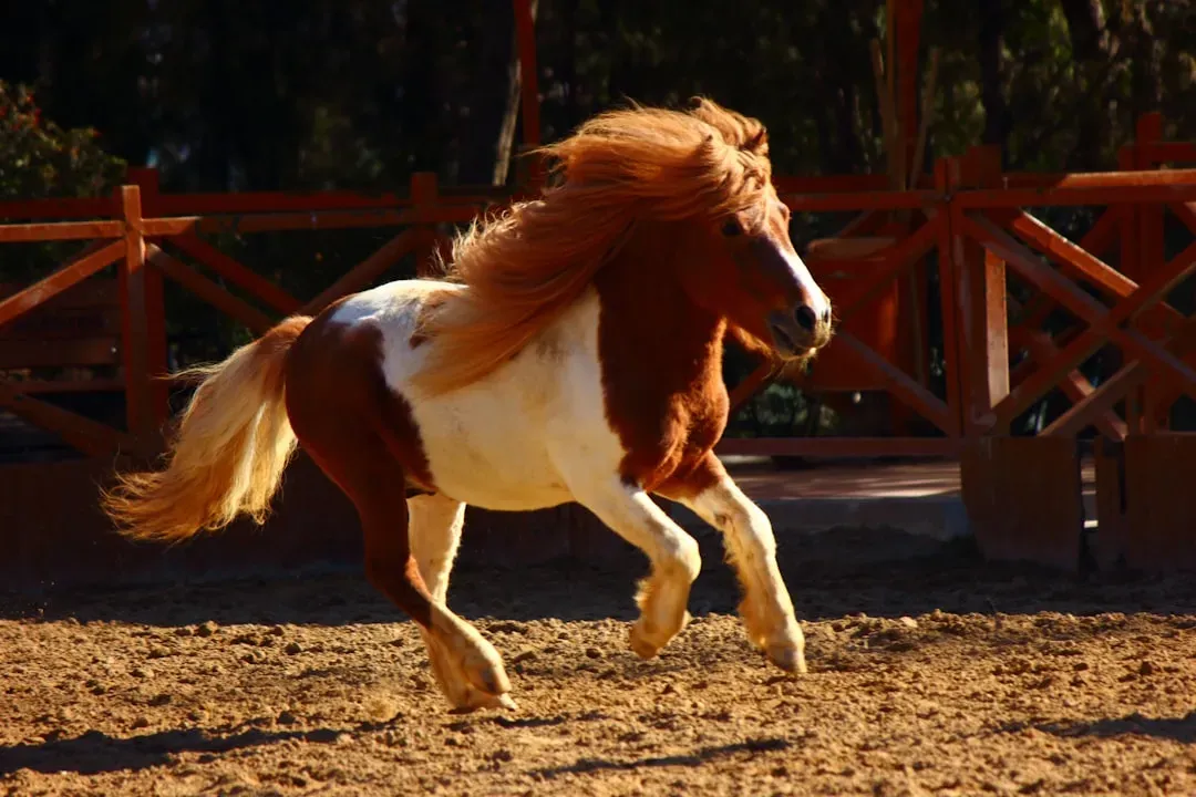 Horse: The Bold Trailblazer (Image Credits: Unsplash)