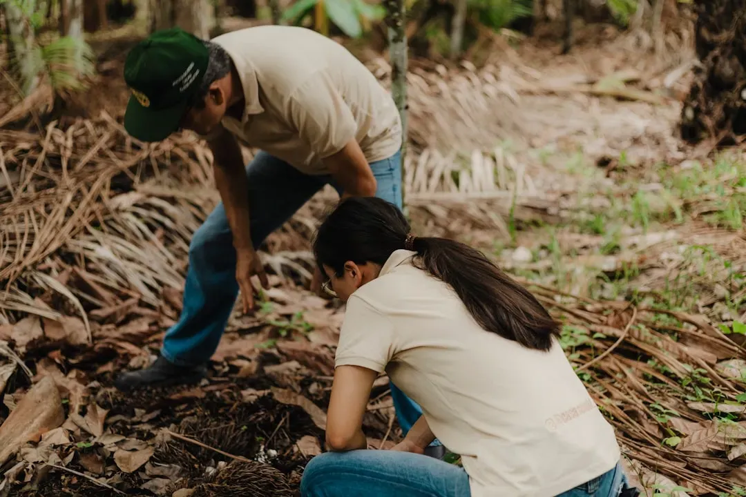 How People Could Farm and Thrive in a “Poor” Rainforest (Image Credits: Unsplash)
