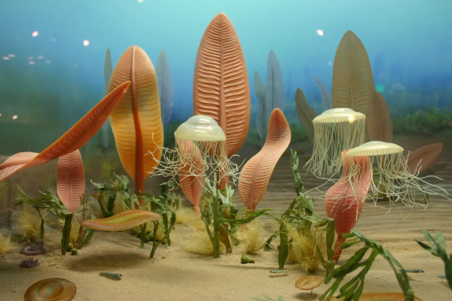 #7 – Bizarre, Soft-Bodied Creatures Filled the Oceans (Life in the Ediacaran SeaUploaded by FunkMonk, CC BY-SA 2.0)
