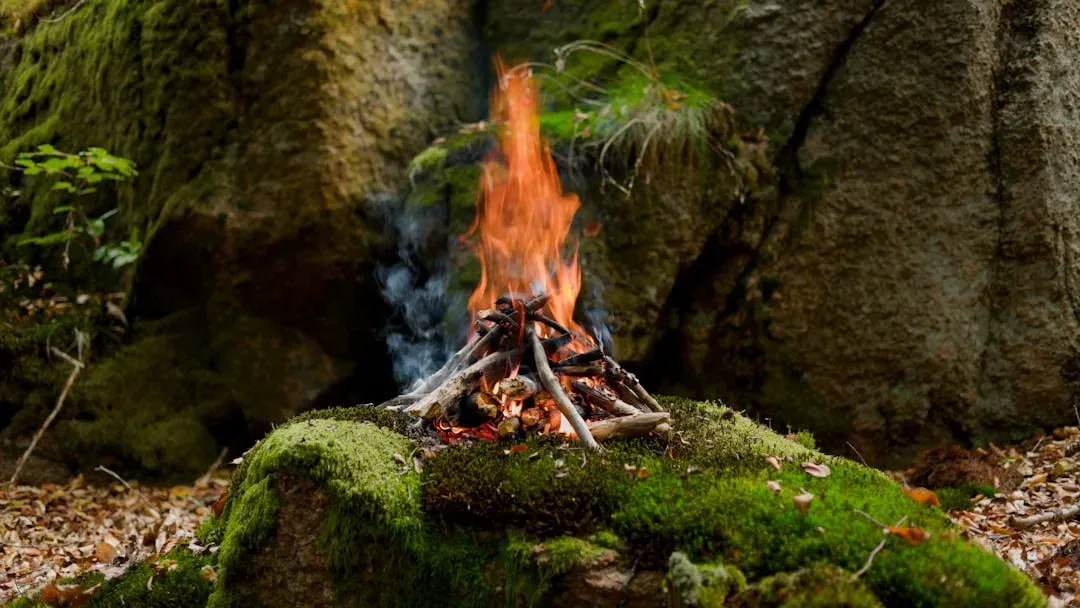 You Possess a Deep, Almost Sacred Relationship With Fire, Water, and Earth (Image Credits: Unsplash)