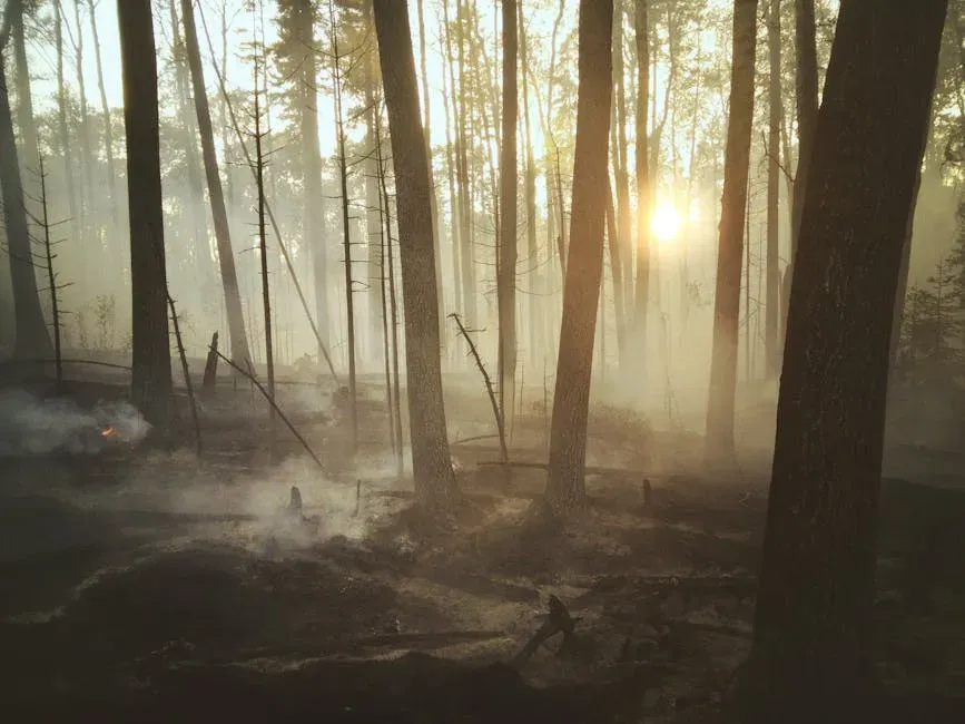 Aries – Fire-Scarred Pine Forest Reborn After Flames (Image Credits: Pexels)