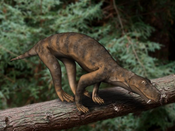 Conclusion (Image Credits: Wikimedia)