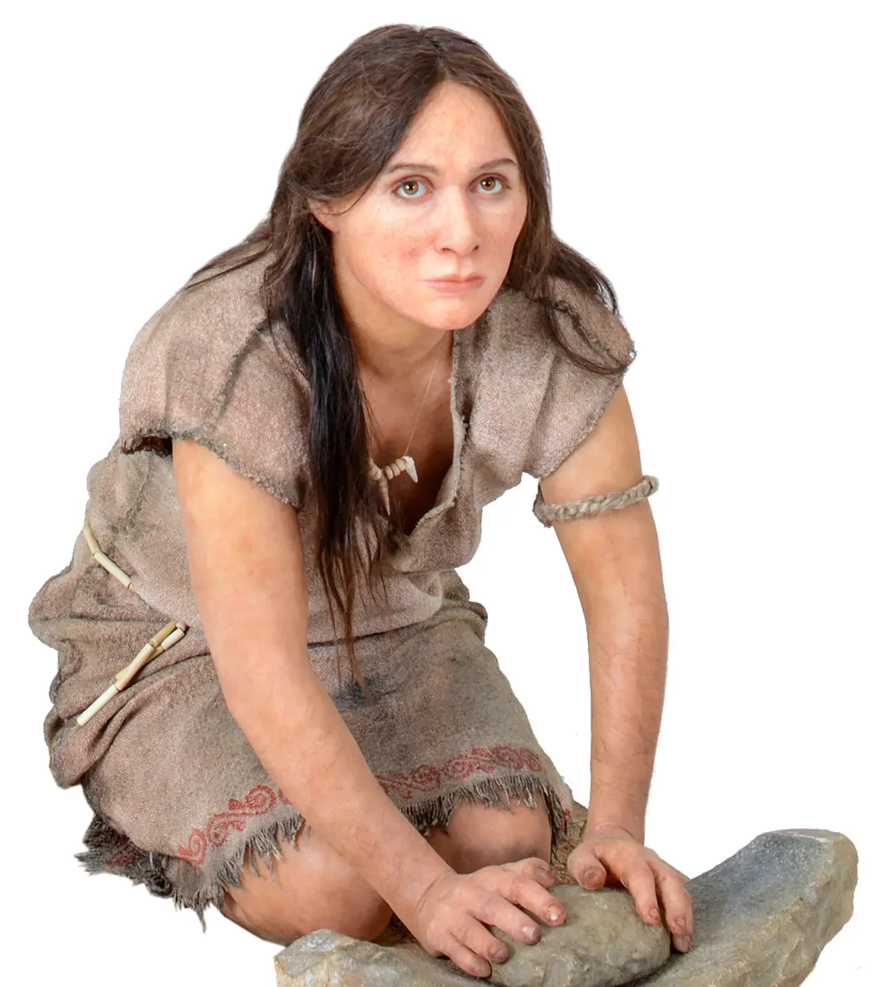 The Spread of Farming Was More Than Just an Idea (MUSE, CC BY-SA 3.0)