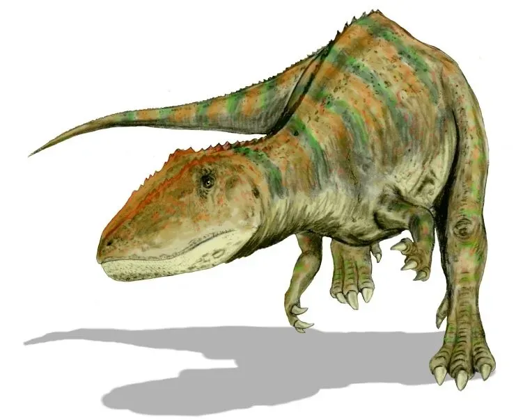 Carcharodontosaurus: The Shark-Toothed Nightmare From Africa (Image Credits: Wikimedia)