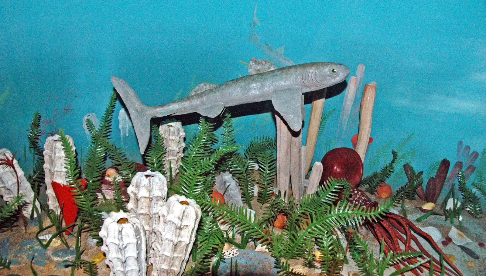 A World Before the Explosion: The Quiet Before the Storm (Diorama of a Devonian seafloor 7, CC BY 2.0)