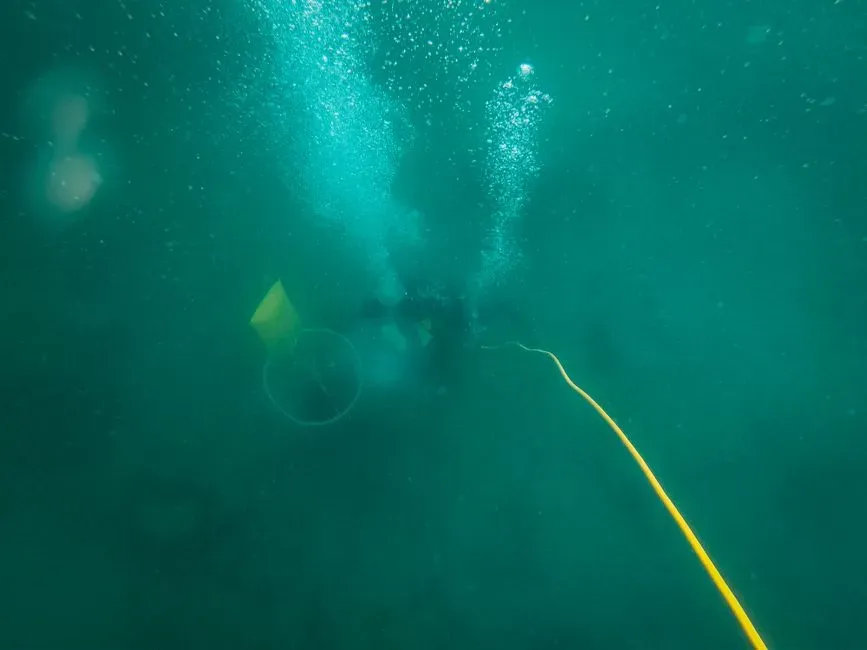 #11 - The Deep-Ocean Hum: A Sound That Breathes With the Tide (Image Credits: Pexels)