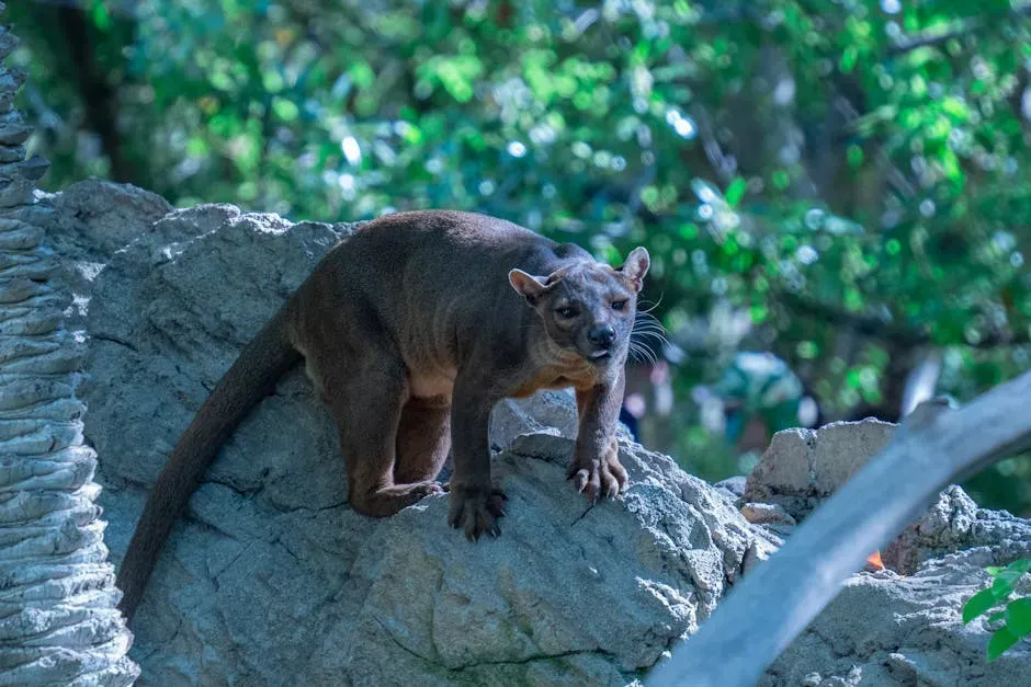 The World Before the Impact: Mammals in a Dinosaur’s Shadow (Image Credits: Pexels)