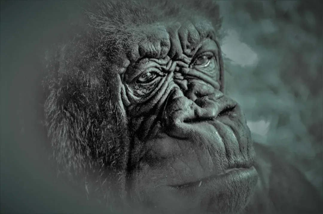 Conclusion: Owning Our Inner Primate Instead Of Fighting It (Image Credits: Unsplash)