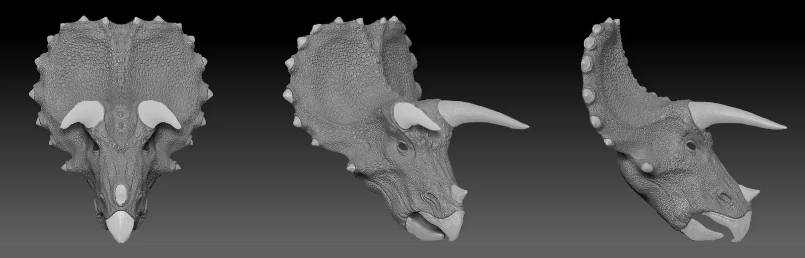 #12 - The Frill Was Never a Shield, and Scientists Finally Admit It (By Source file: Andrew kerr : Dotnamestudios : Dinosaur Zoo
Processing: MathKnight ✡ (Talk), CC BY-SA 3.0)