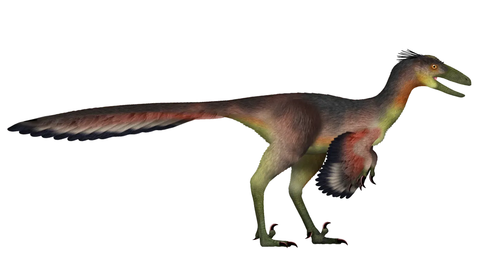 1. Some Dinosaurs Had Brain‑to‑Body Ratios Similar to Modern Birds (By TotalDino, CC BY 4.0)