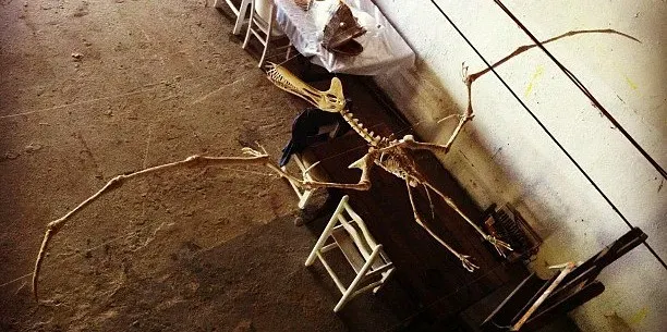 The Lakota Sioux and the Great Thunderbird (Helder da Rocha, Flickr, CC BY-SA 2.0)